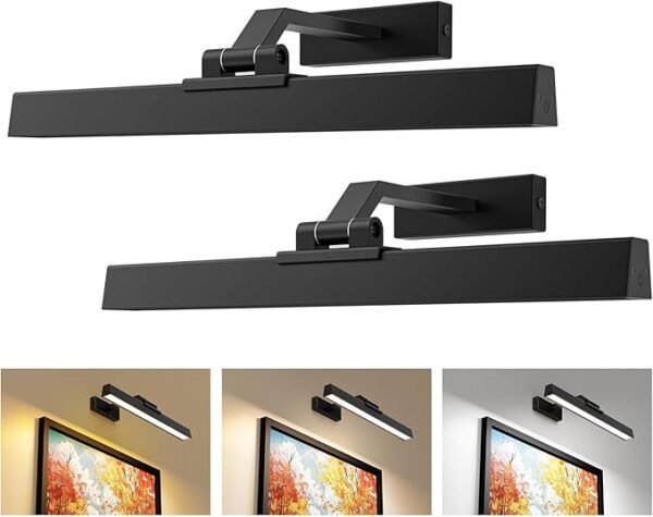 Picture Lights for Wall, Battery Operated Picture Light 16in Gallery Light for Paintings CCT Dimmable Recharging Battery Wall Light with Remote Control for Living Room Dartboard Art Bathroom 2PCS
