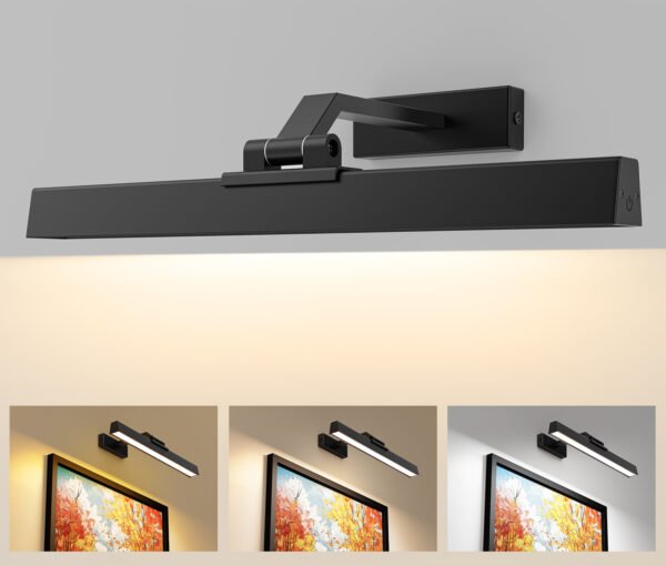 Picture Lights for Wall, Battery Operated Picture Light 16in Gallery Light for Paintings CCT Dimmable Recharging Battery Wall Light with Remote Control for Living Room Dartboard Art Bathroom